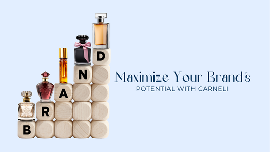 Maximize Your Brand’s Potential with Carneli - carnelistyle