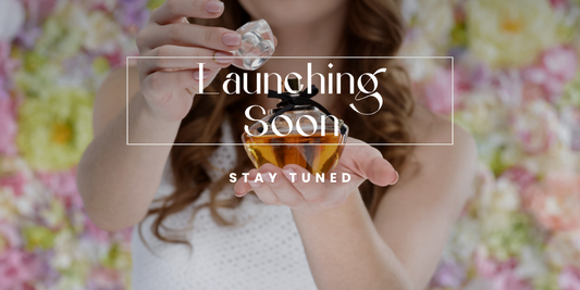 📣 Marketing & Launch Support